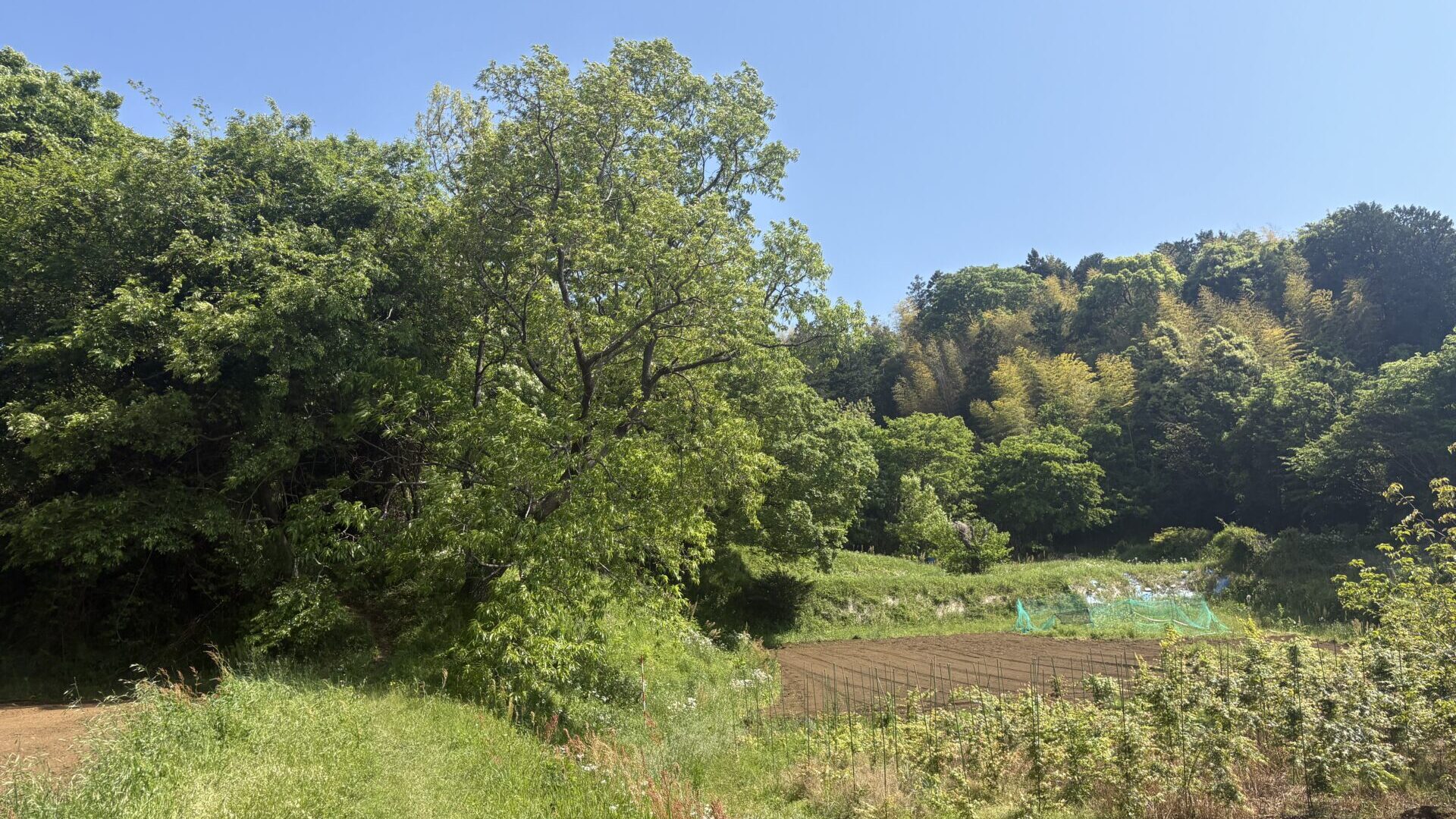 みちしるべラボは　100年先の未来まで心地よさが続く “暮らしの土台”を地域で模索、実践する活動をしています